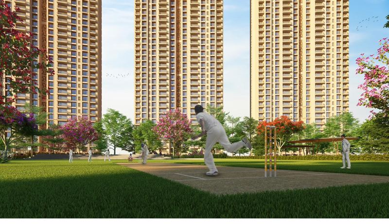Cricket